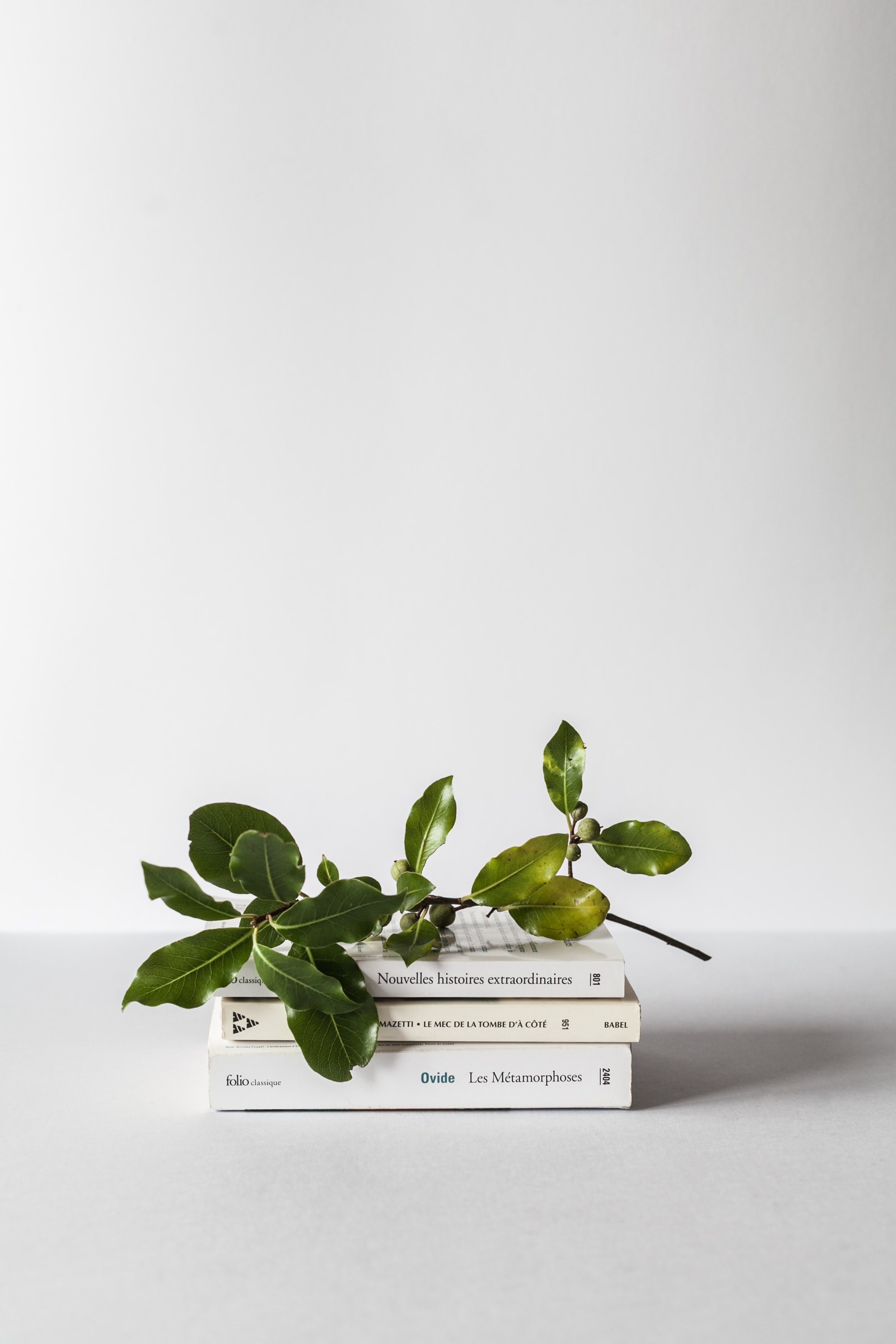 Encouraging Books for the Various Seasons of Life
